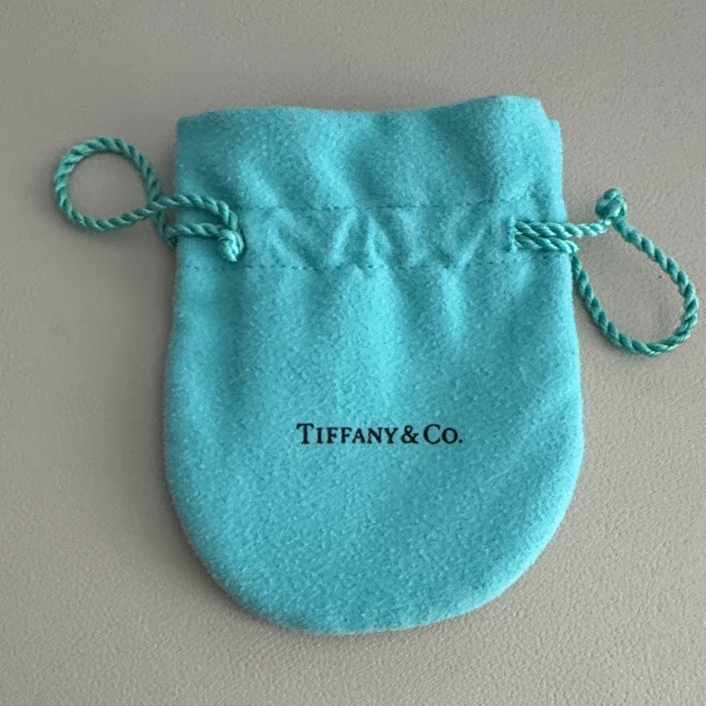 Tiffany & Co. Turquoise Drawstring Pouch